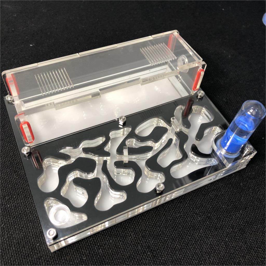 150mmx110mm test tube Moisture big space Ant Nest ，Ant Farm Acrylic， Insect ants Villa House Ants Ecological Workshop